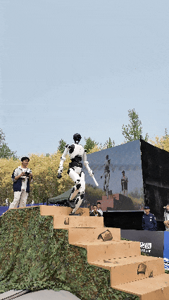 2.gif